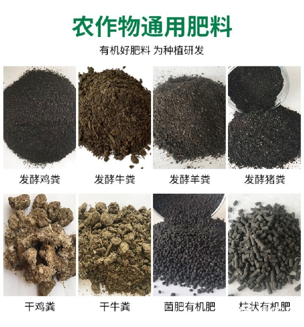 農家自有牧場自然晾曬有機肥料干牛糞種花種菜發酵牛屎